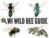 WI Bee Guide