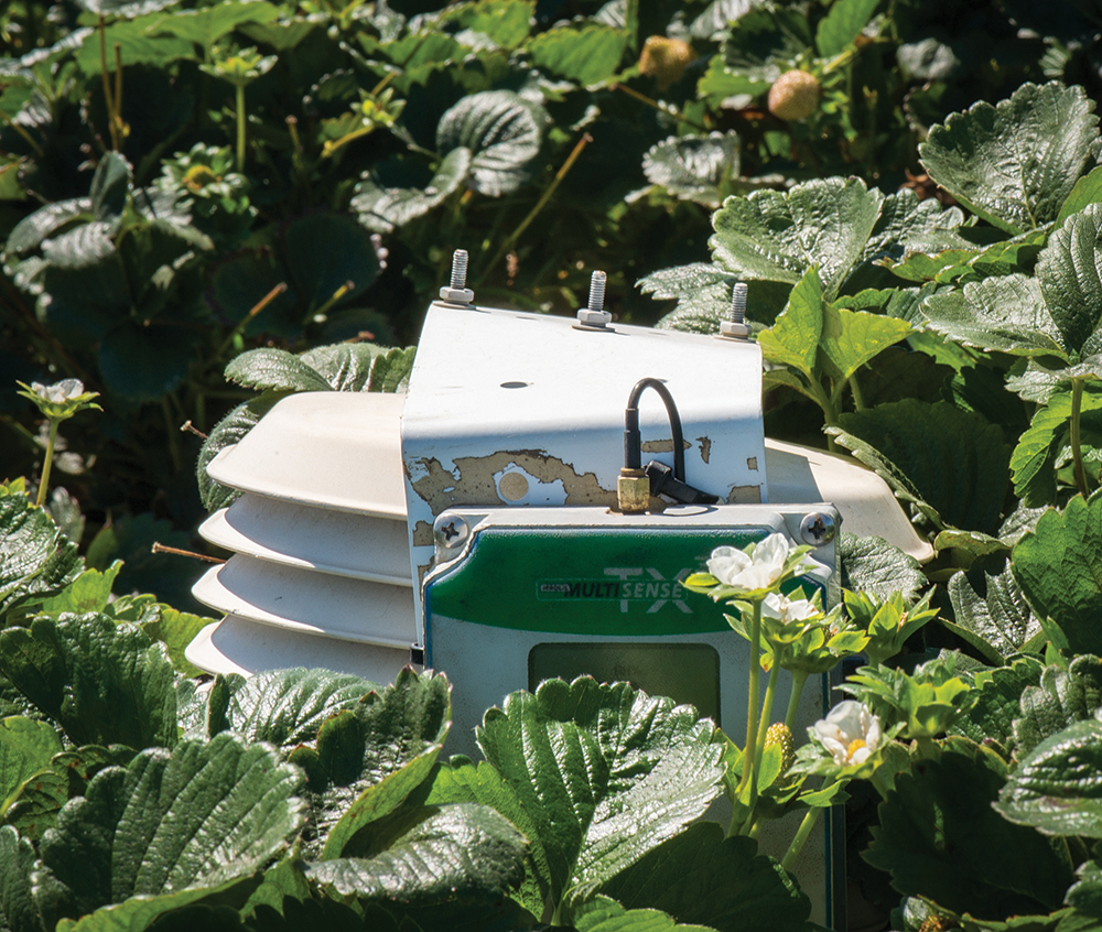 Water Management Sensor