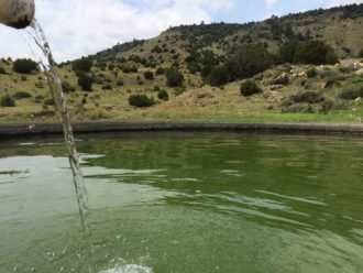 Water storage tank in dry terrain