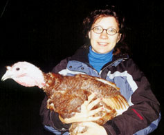 Wende Elliott realizes a profit from raising organic turkeys, partly thanks to a unique arrangement that allows her to share labor and inputs with other members of her Midwestern growers cooperative.