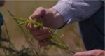 Hands holding a plant