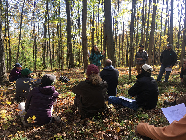workshop held in a forest