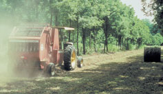 harvest in alleycropping system