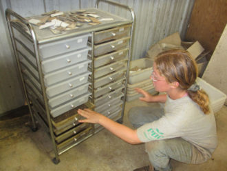 Black soldier fly batch system Black soldier fly batch system