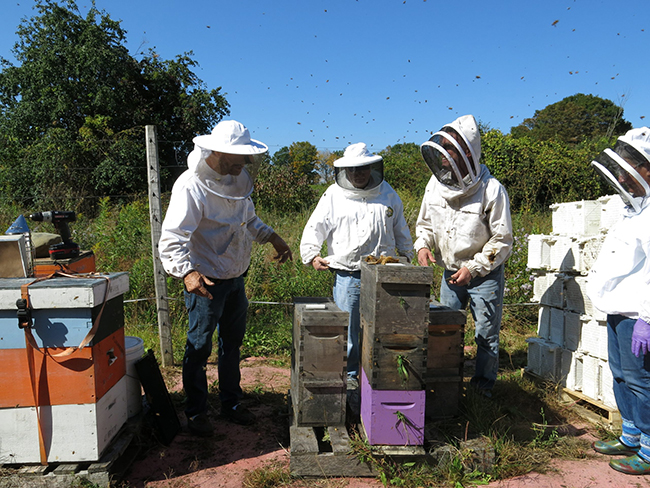 beekeepers with bee hives