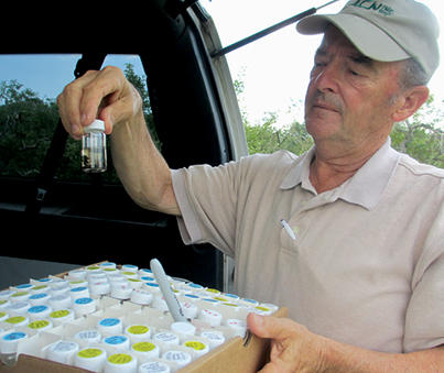 farmer holding sample farmer holding sample