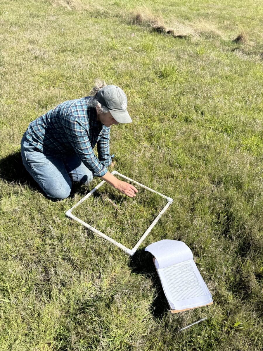 A woman sitting in a field over an empty frame