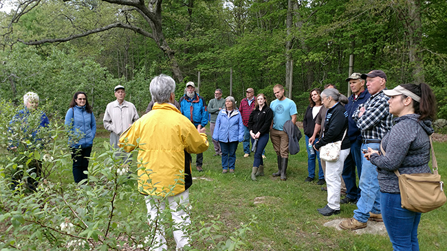 person giving a talk at blueberry field
