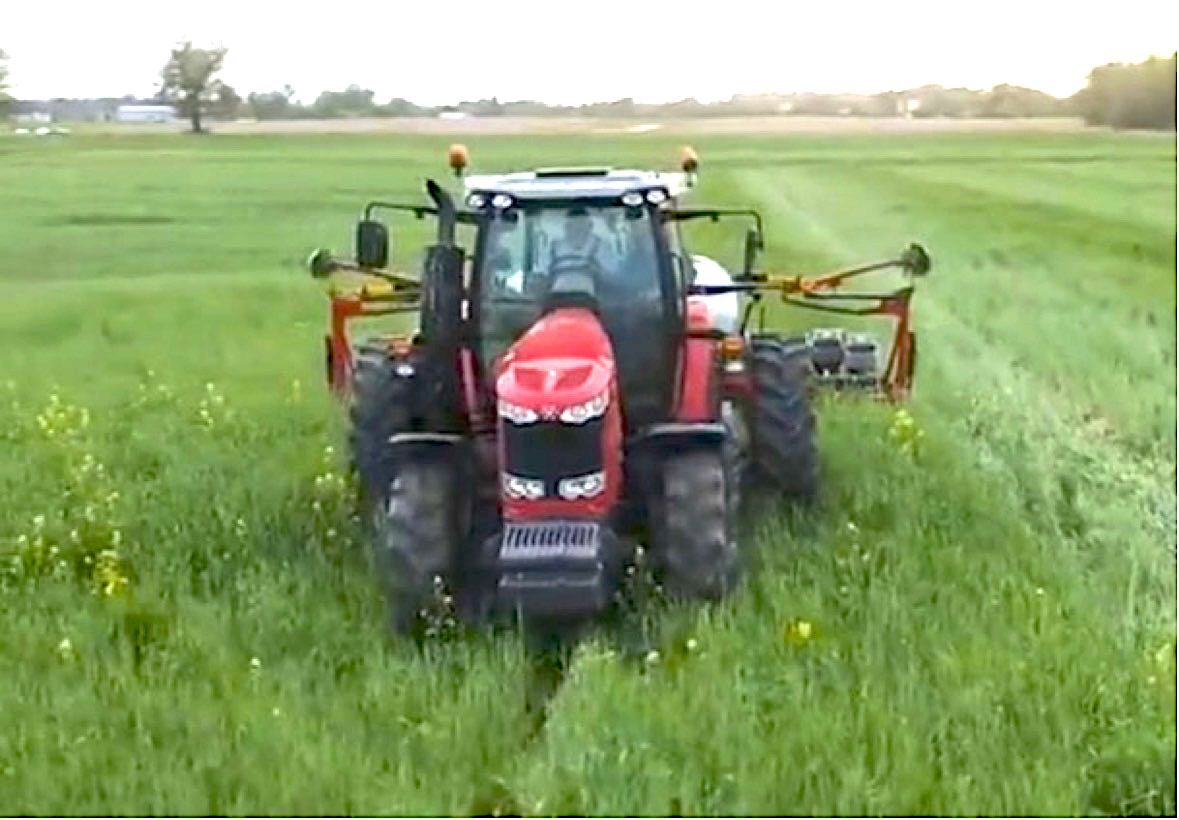 A tractor with a planter is driving through a tall cover crop