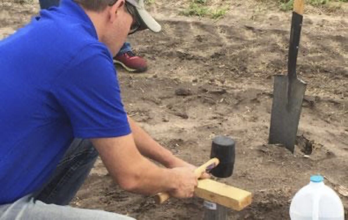 A person is kneeling down in a field and getting a soil sample by putting a metal ring on the ground with a small piece of wood on top of the ring. The person is using a rubber mallet to hammer on top of the wood and drive the ring into the soil.