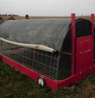 Dickinson College Farm - mobile pen with a shade tarp
