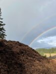 compost pile with rainbow