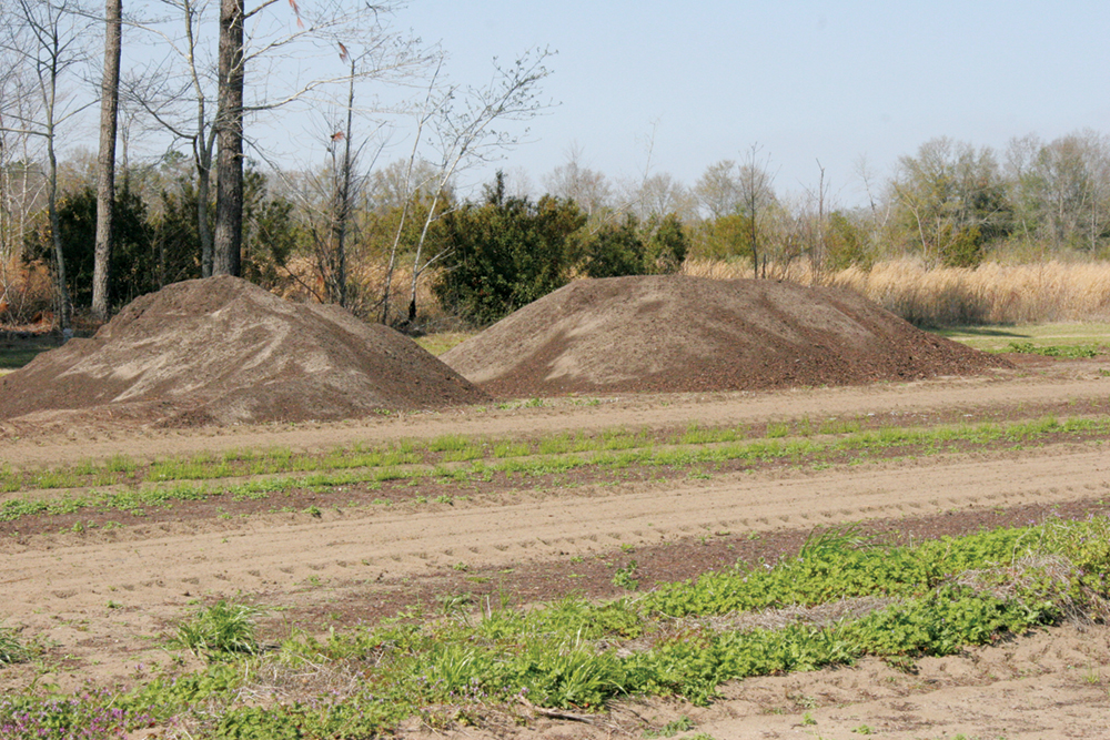 Two piles of mature compost at the edge of a field
