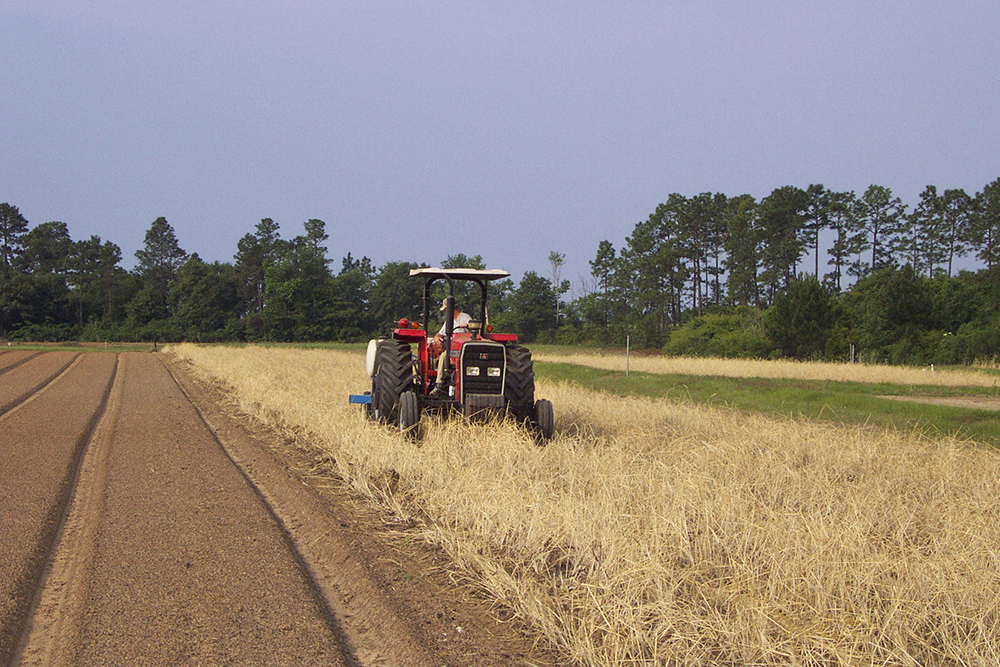 Tractor conventional strip till