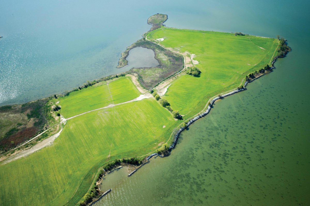 Aerial view of farm fields surrounded by water Aerial view of farm fields surrounded by water