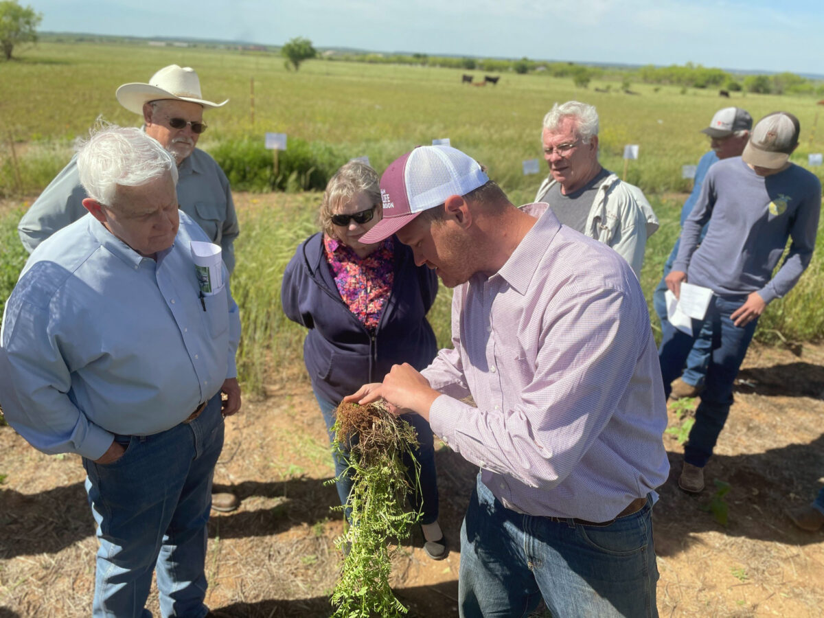 Man holding uprooted plant with other people standing around looking at it