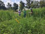 Three people performing field evaluations as they stand outside