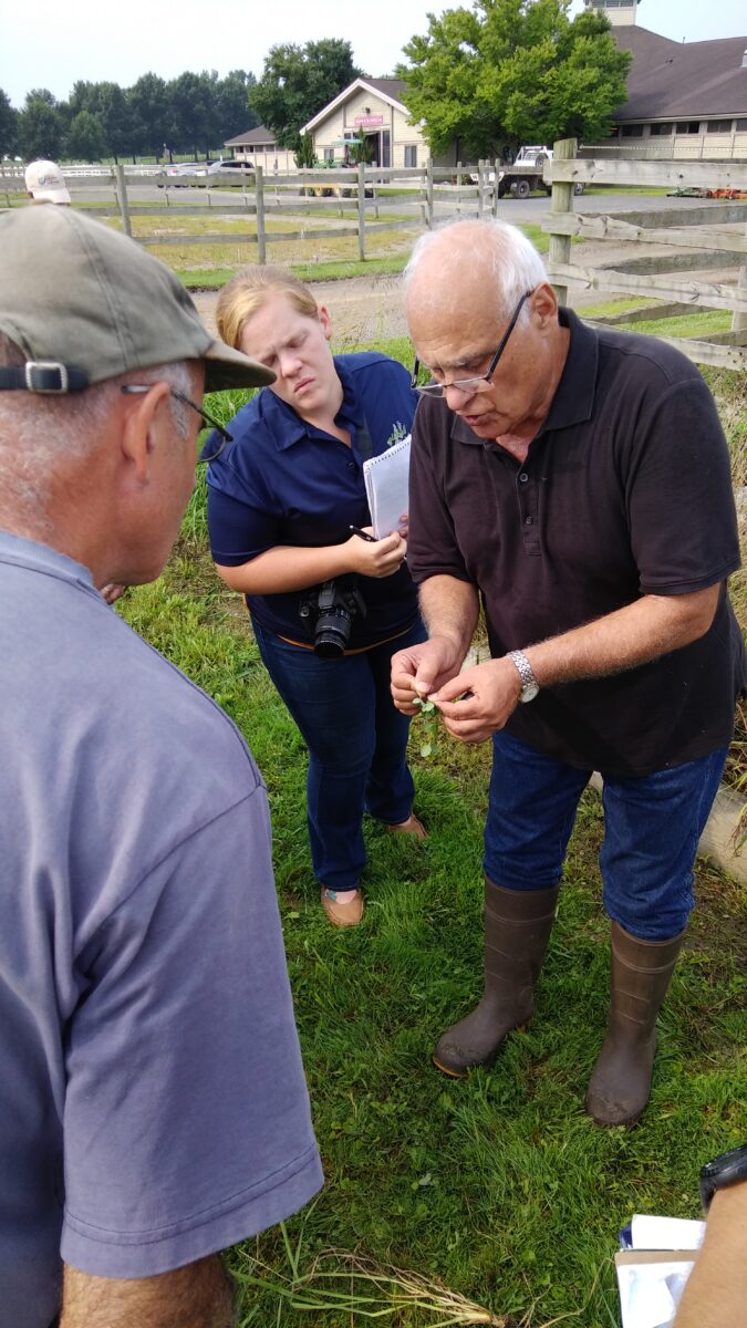 people examining a clover plant