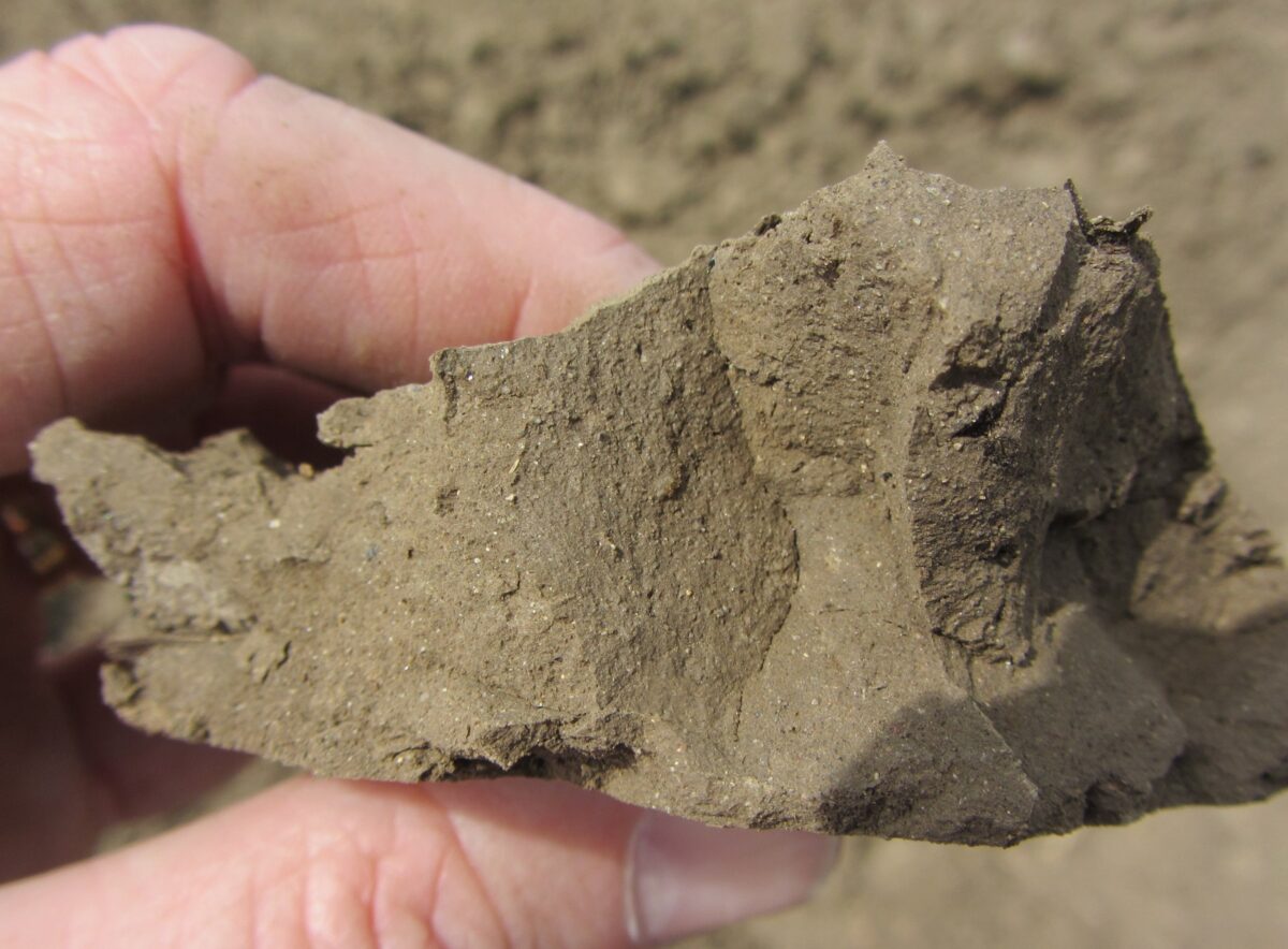a person is holding a sample of poor soil, because it is light brown and compacted, with no signs of roots, pore spaces or aggregates