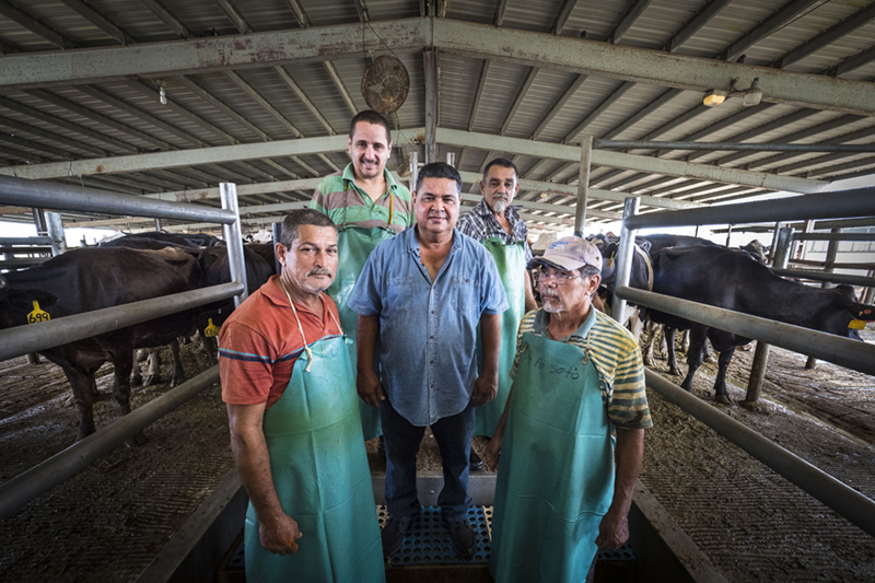 A dairy farmer poses with four crew members in a large barn