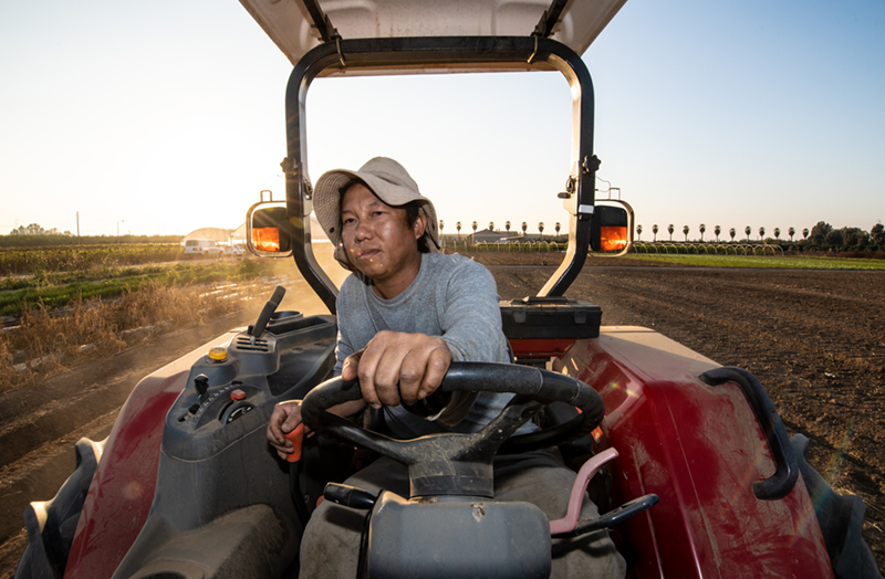 A close up of a Hmong farmer driving a tractor through his field
