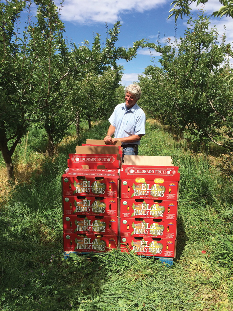 A farmer posing with boxes of fruit in his orchard.