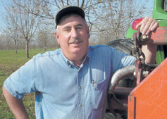 Dan Shepherd who alley-crops among pecan trees