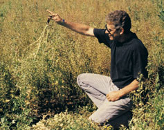 producer Vern Mayer observing plant health