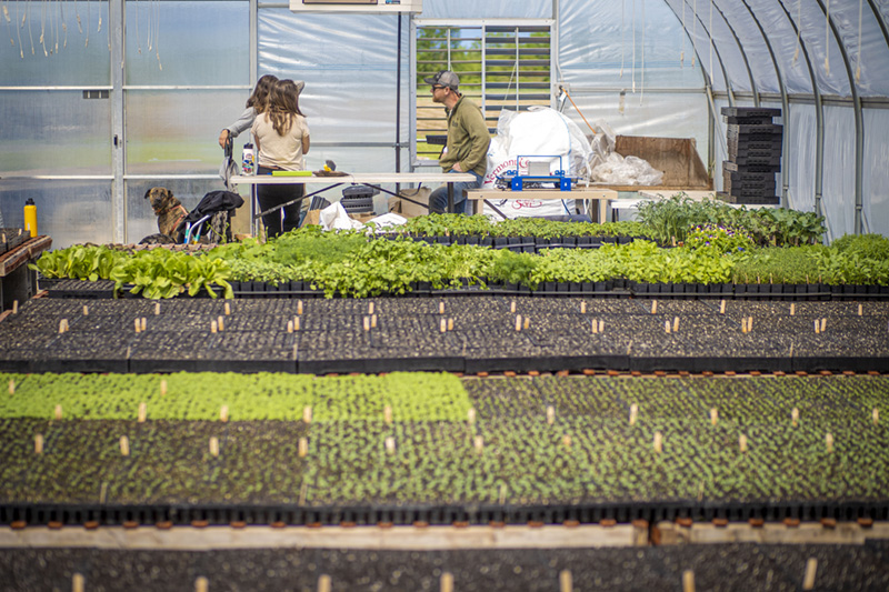 Three farm partners have a planning meeting at a table inside one of their high tunnels