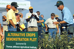 farm fieldday scene