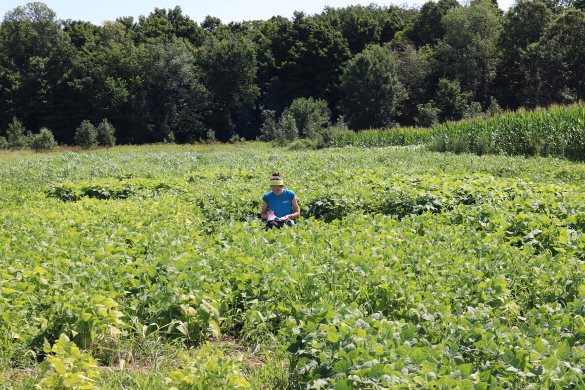 Woman in the middle of a green field with a line of trees in the background