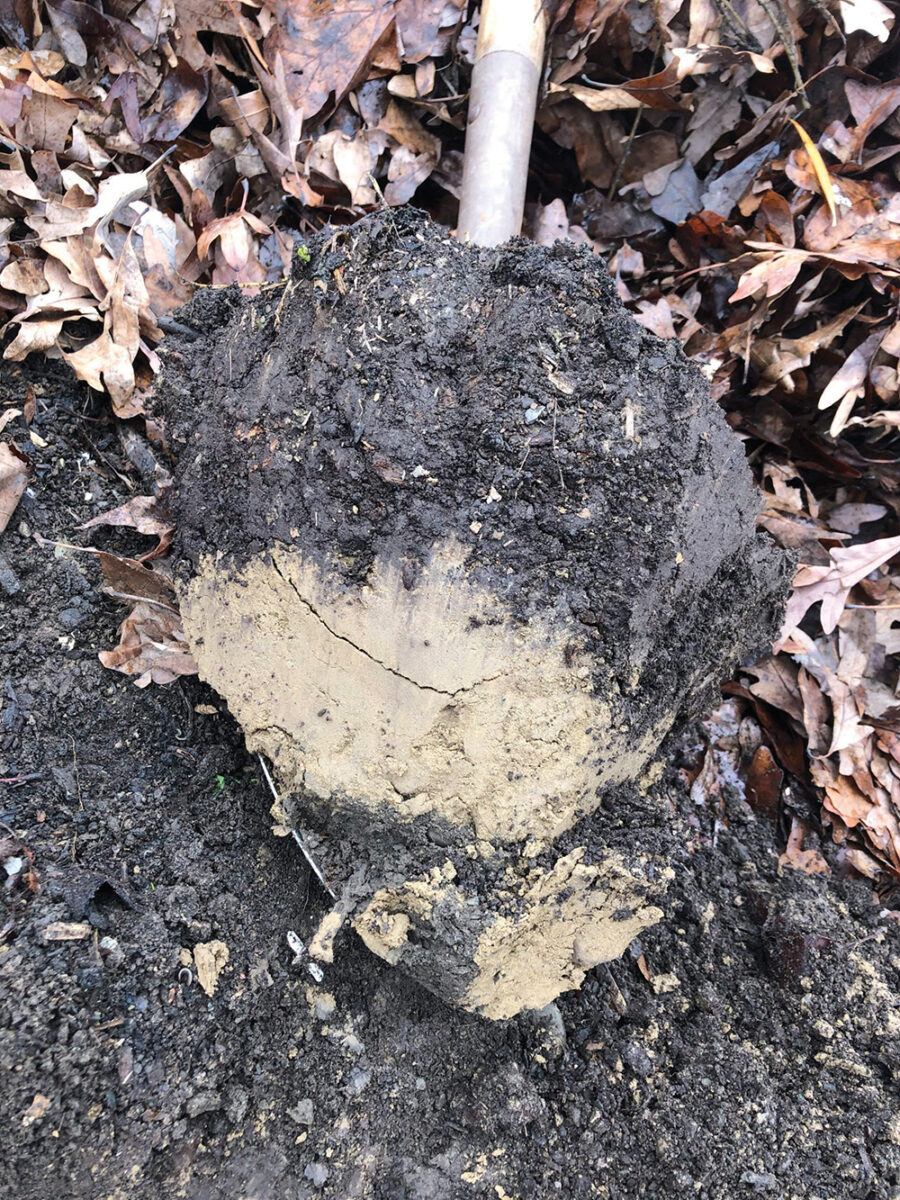 shovelful of soil showing different layers