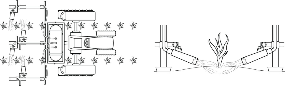 In-row flame weeder and burners