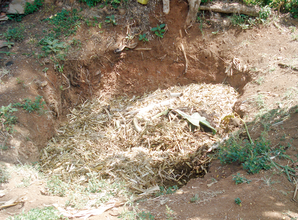 belowground composting pit