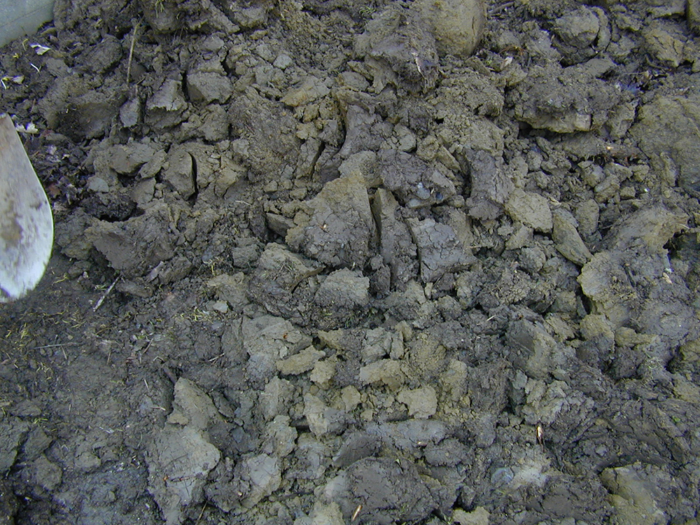 Compacted soil with big clumps of brown dirt