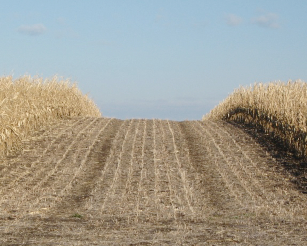 Controlled traffic farming