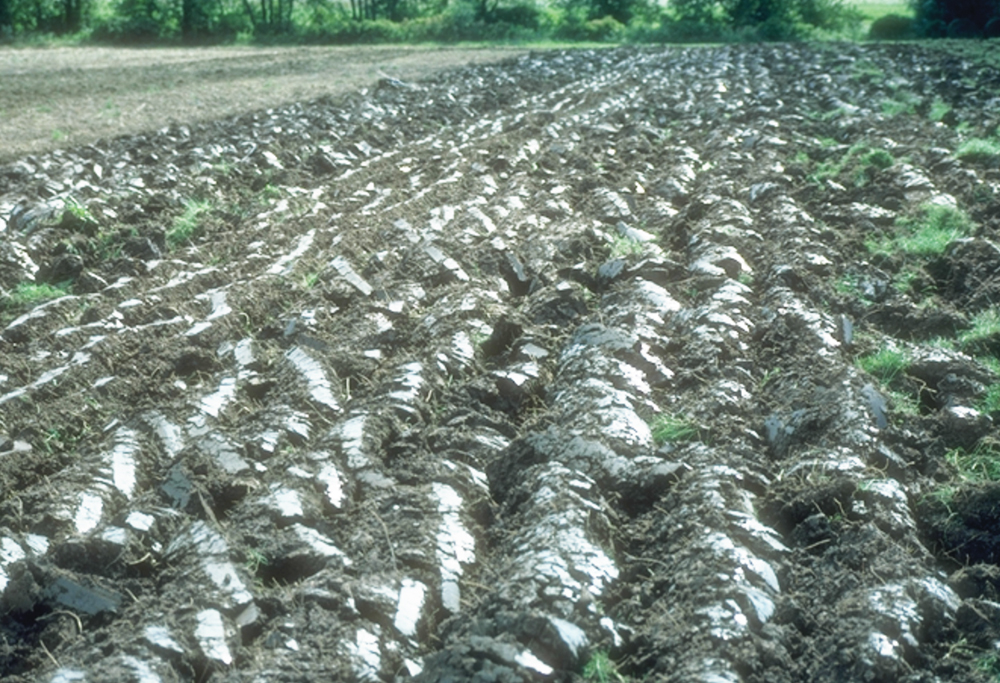 wheel traffic from plowing in wet soil 