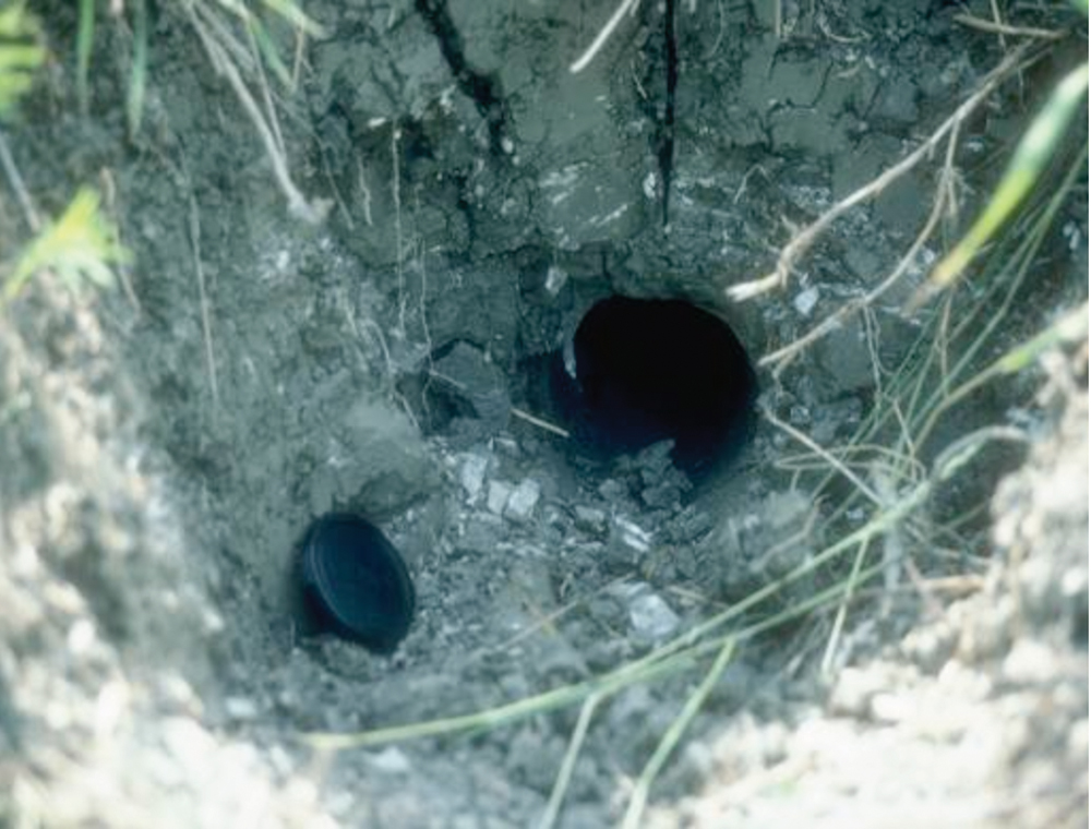 mole drain in clay soil