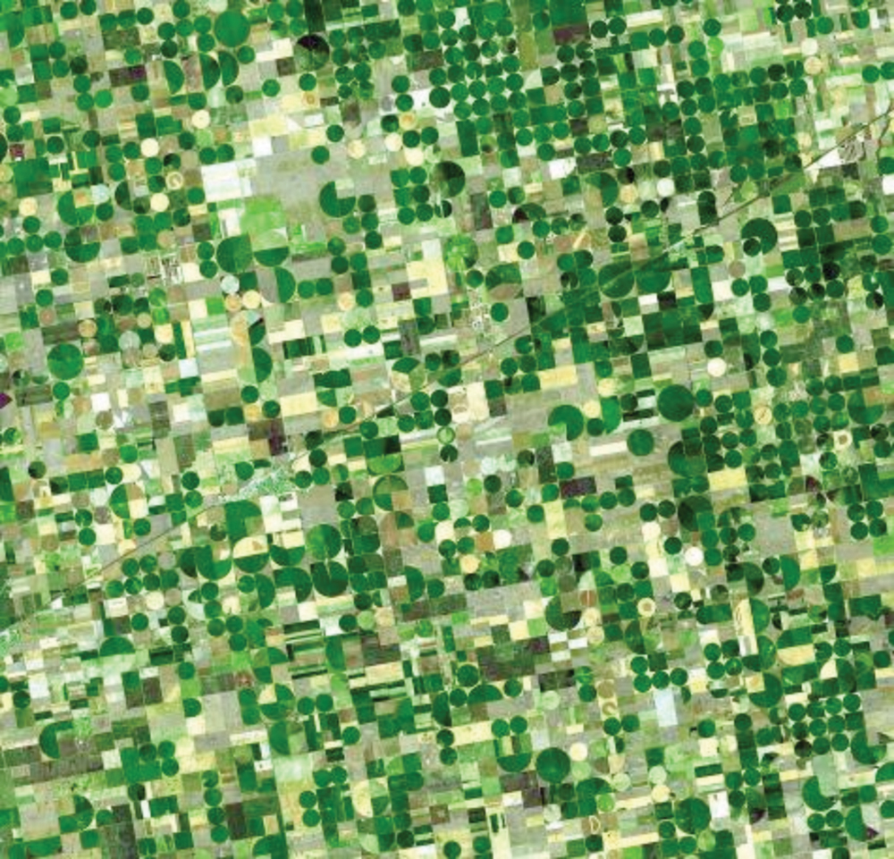 Satellite image of crop circles in southwest Kansas