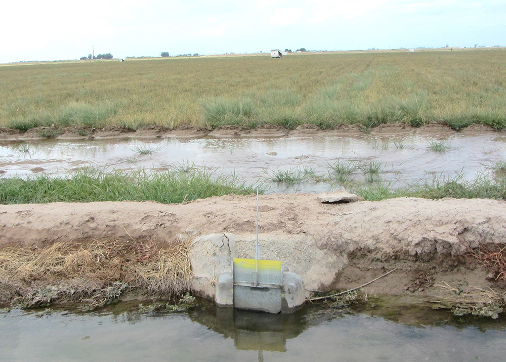 irrigation field with tailwater discharge