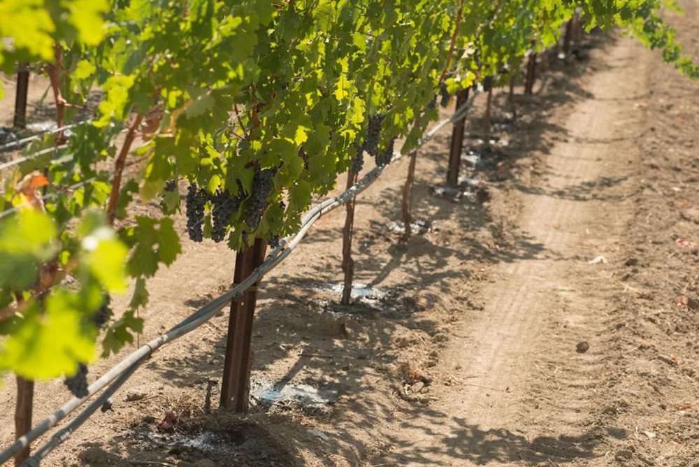 Ch 17. Managing Water Irrigation and Drainage SARE