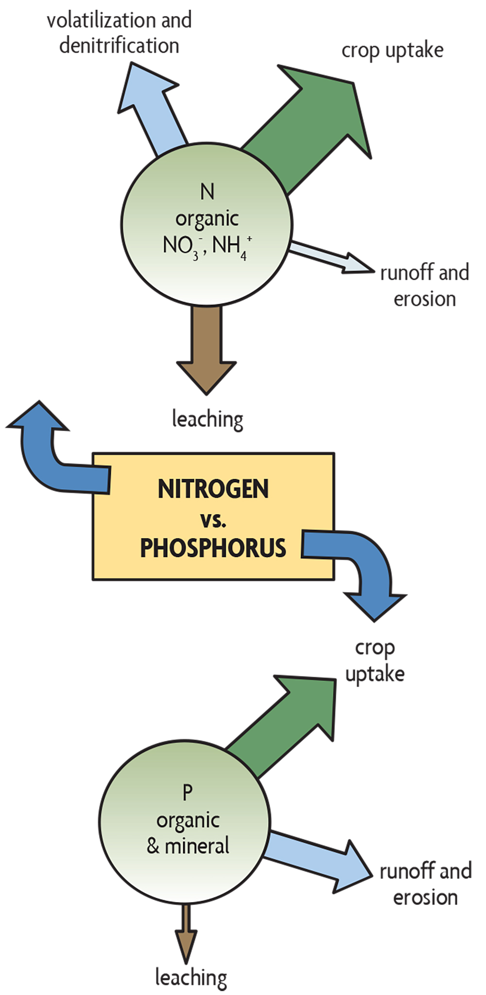 Ch 19. Management of Nitrogen and Phosphorus - SARE