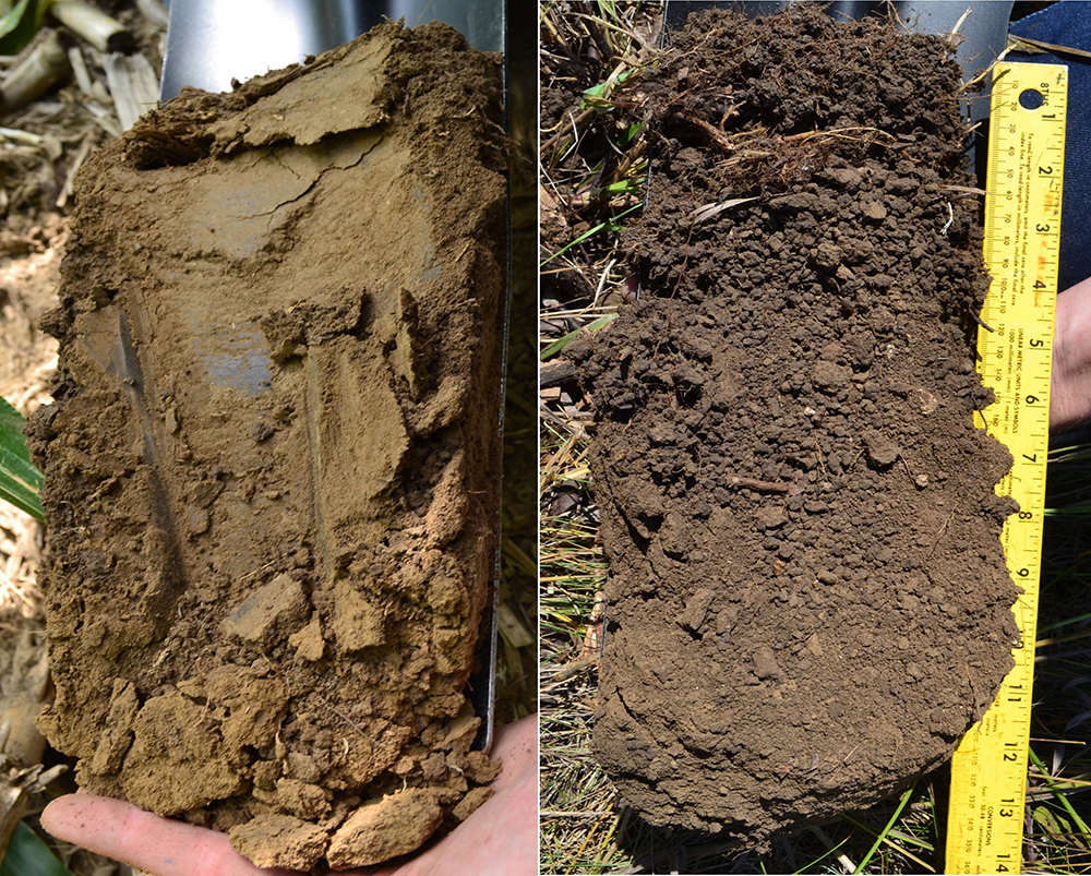 Agricultural Soil Comparison