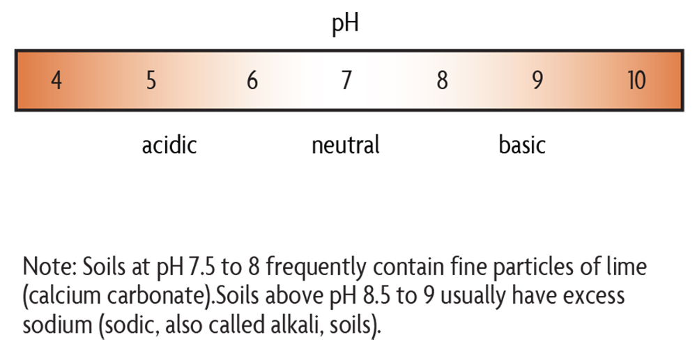 ph chart spanning from 4 to 10 from acidic to basic