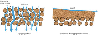 2.2: Why Soil Organic Matter is So Important - Geosciences LibreTexts