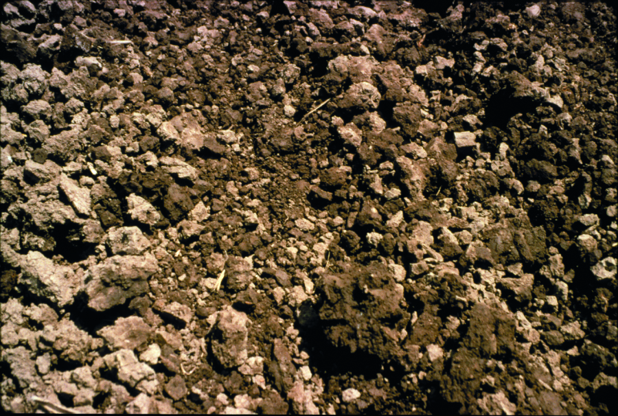 stage one of tilth