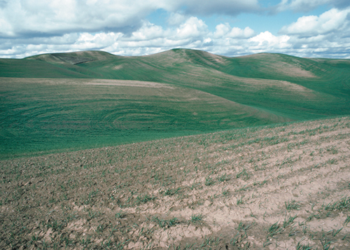 impacts of tillage erosion on soils