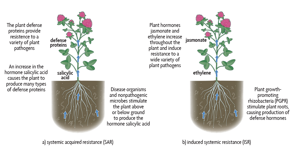 types of induced resistance