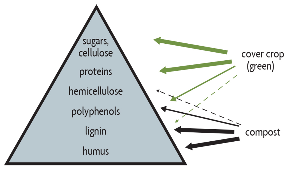 Different types of residues