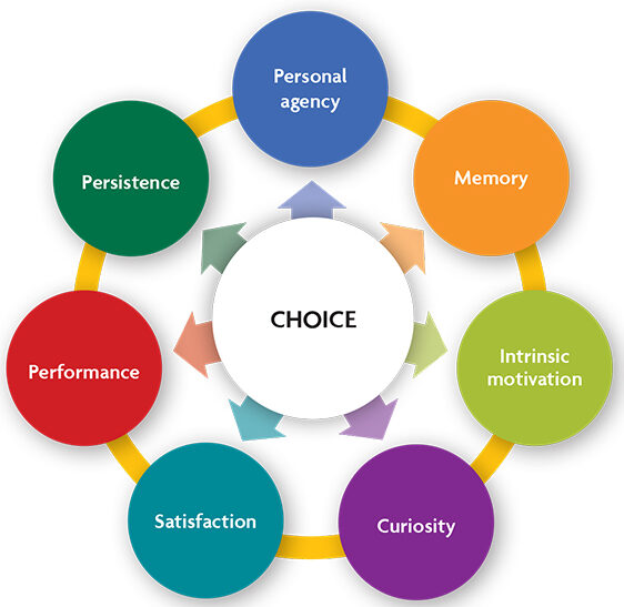 the positive impacts of choice on adult learning